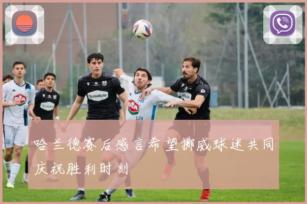 哈兰德赛后感言希望挪威球迷共同庆祝胜利时刻