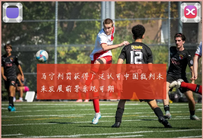 马宁判罚获得广泛认可中国裁判未来发展前景乐观可期