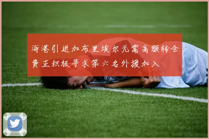 海港引进加布里埃尔无需高额转会费正积极寻求第六名外援加入