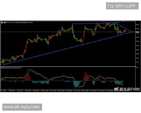 小鬼克尼佩尔次节狂砍14分4板助队追分半场数据亮眼表现引关注